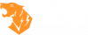 Coes-Logo